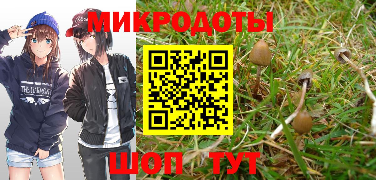 Муром  Псилоцибиновые грибы Psilocybe  Вход с VPN 