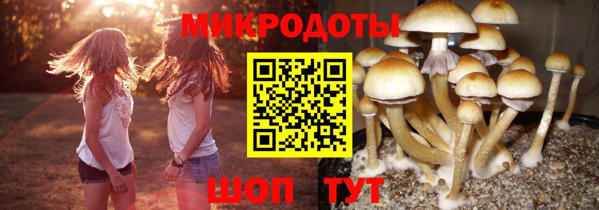 Галлюциногенные грибы MAGIC MUSHROOMS Муром